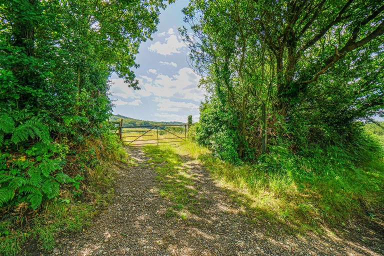 Rosemary Lane, Fairlight, Hastings